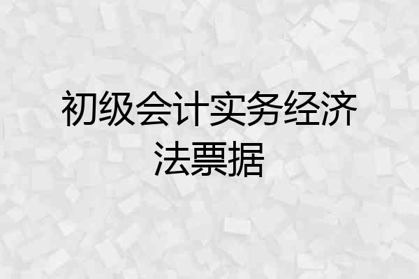 初级会计实务经济法票据