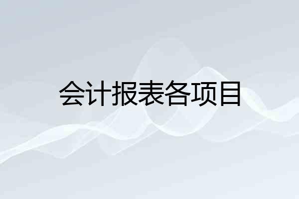 会计报表各项目