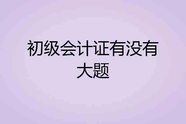 初级会计证有没有大题