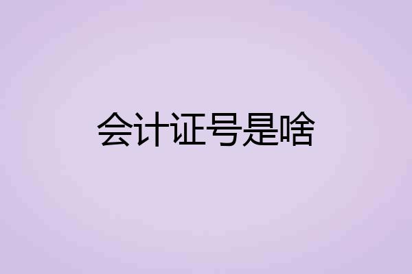 会计证号是啥