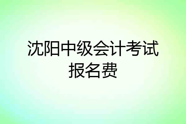 沈阳中级会计考试报名费
