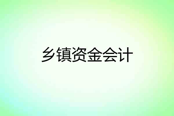 乡镇资金会计