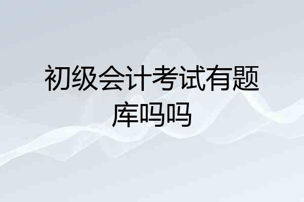 初级会计考试有题库吗吗