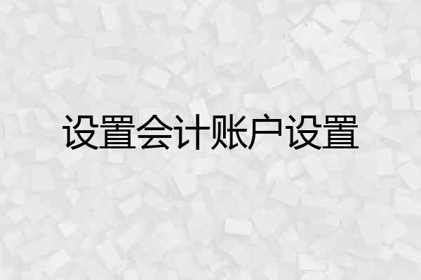 设置会计账户设置