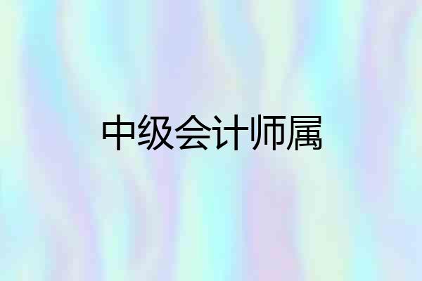 中级会计师属