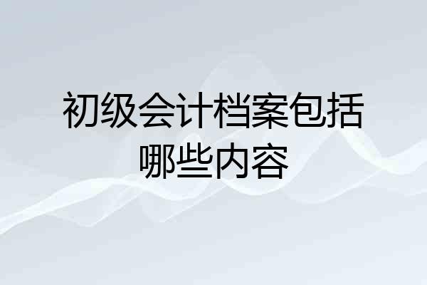 初级会计档案包括哪些内容