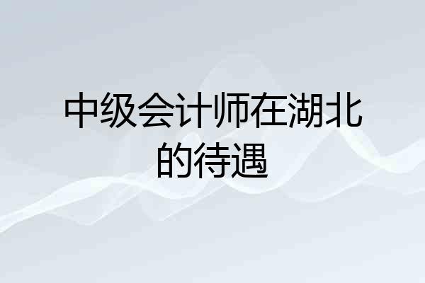 中级会计师在湖北的待遇