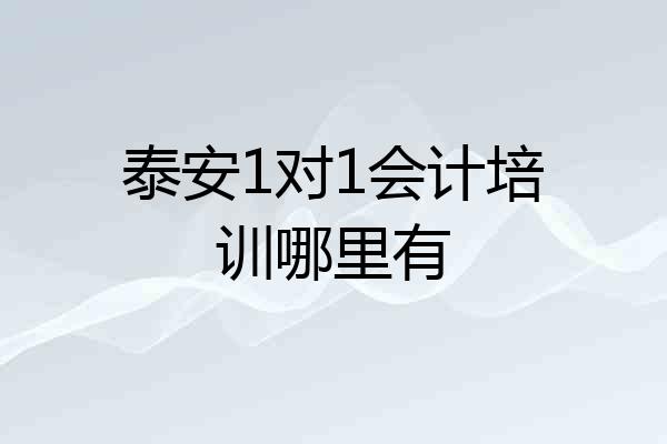 泰安1对1会计培训哪里有