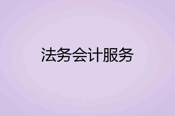 法务会计服务
