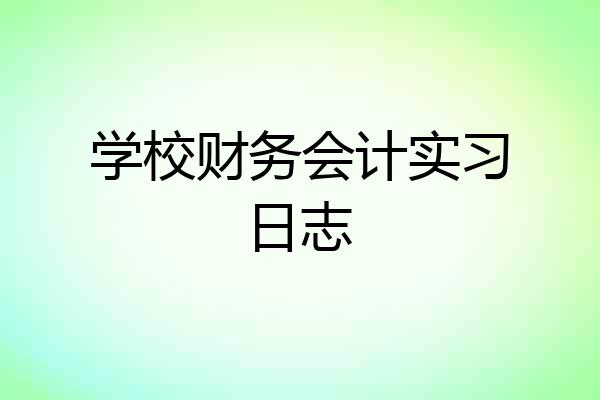 学校财务会计实习日志