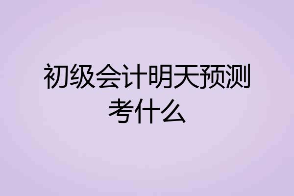 初级会计明天预测考什么