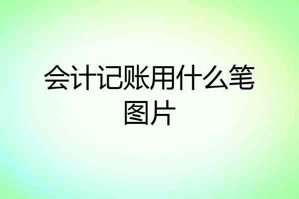 会计记账用什么笔图片