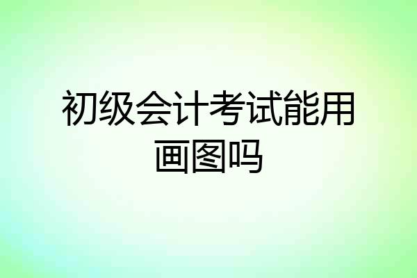 初级会计考试能用画图吗