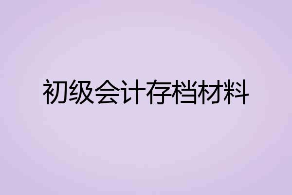 初级会计存档材料