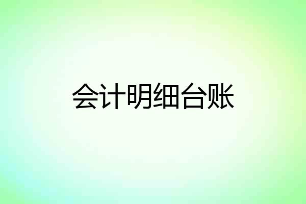 会计明细台账