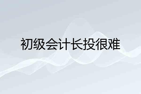 初级会计长投很难