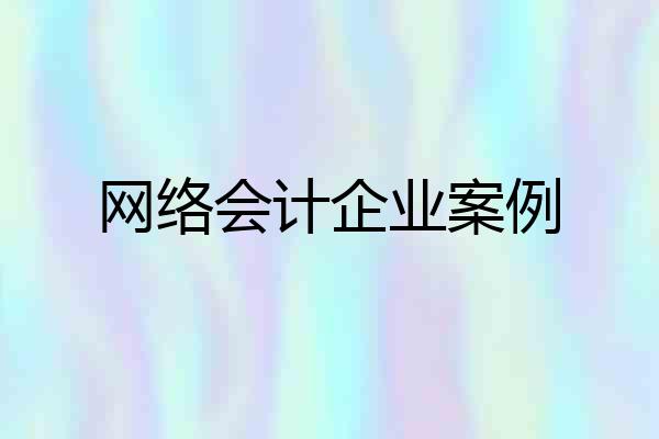 网络会计企业案例