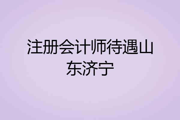 注册会计师待遇山东济宁