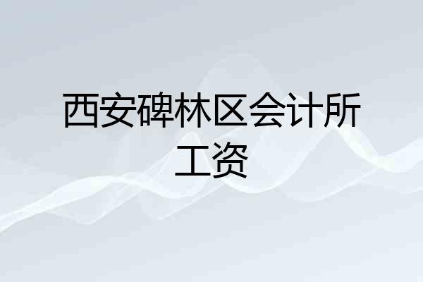 西安碑林区会计所工资