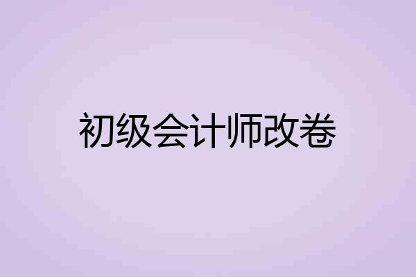 初级会计师改卷