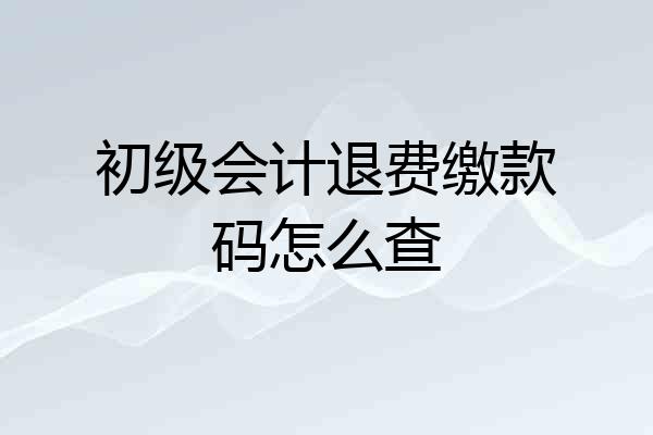初级会计退费缴款码怎么查