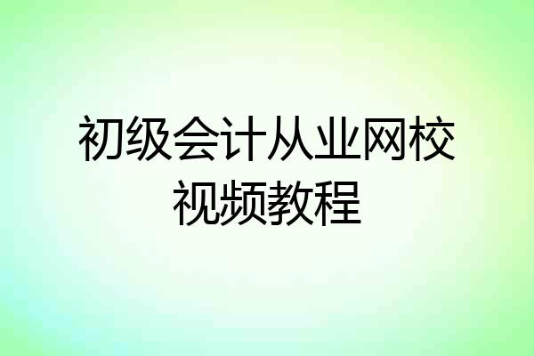 初级会计从业网校视频教程