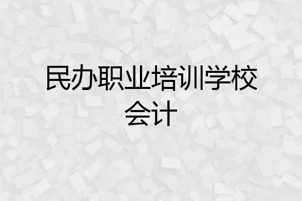 民办职业培训学校会计