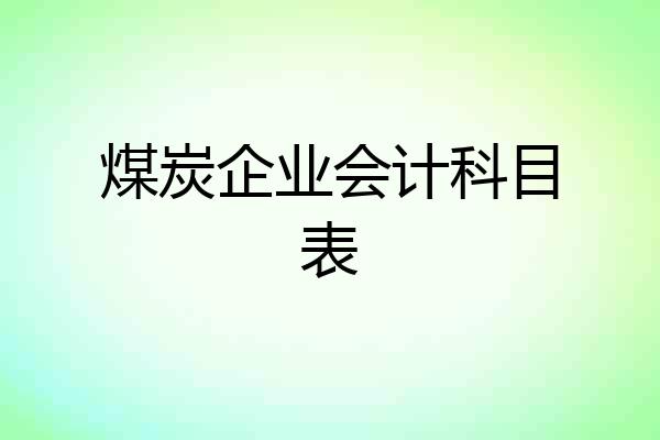 煤炭企业会计科目表