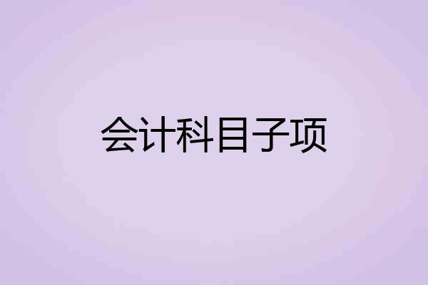 会计科目子项