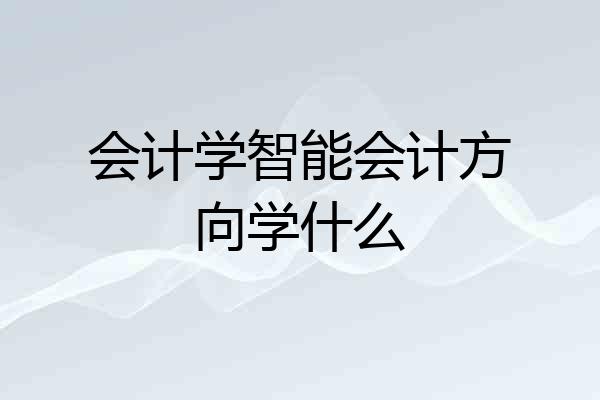 会计学智能会计方向学什么