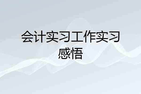 会计实习工作实习感悟