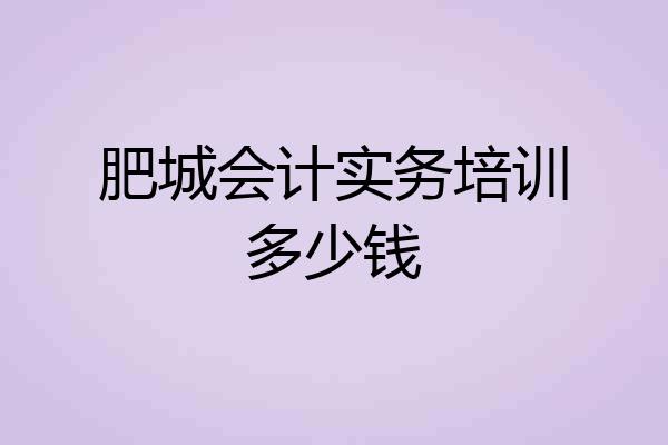 肥城会计实务培训多少钱