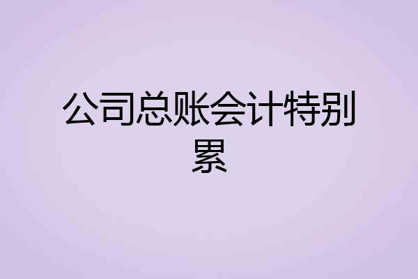 公司总账会计特别累