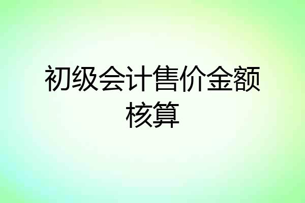 初级会计售价金额核算