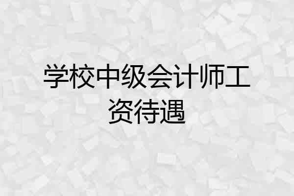 学校中级会计师工资待遇