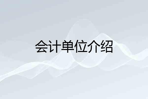 会计单位介绍