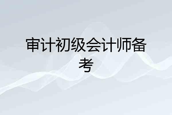 审计初级会计师备考