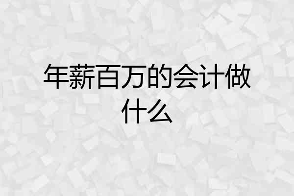 年薪百万的会计做什么