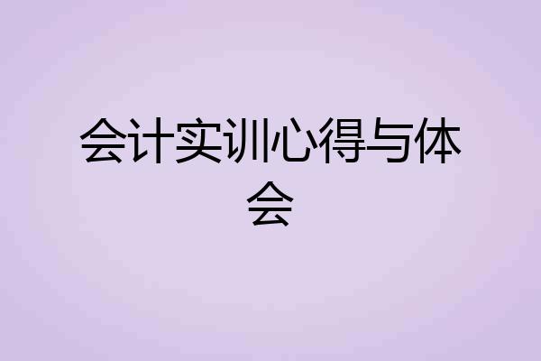 会计实训心得与体会