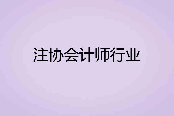 注协会计师行业