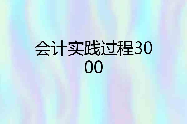 会计实践过程3000
