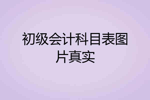 初级会计科目表图片真实