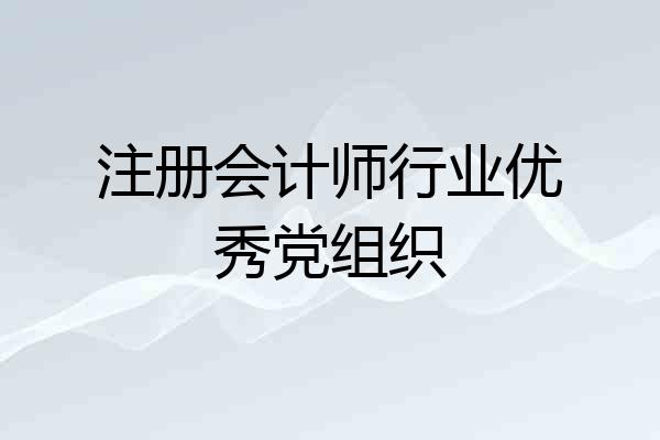 注册会计师行业优秀党组织