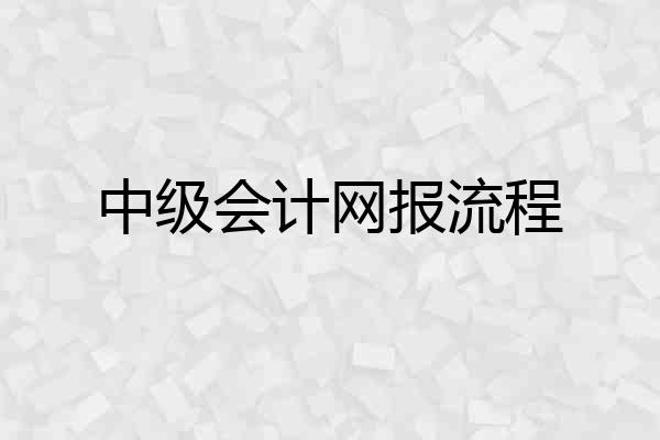 中级会计网报流程