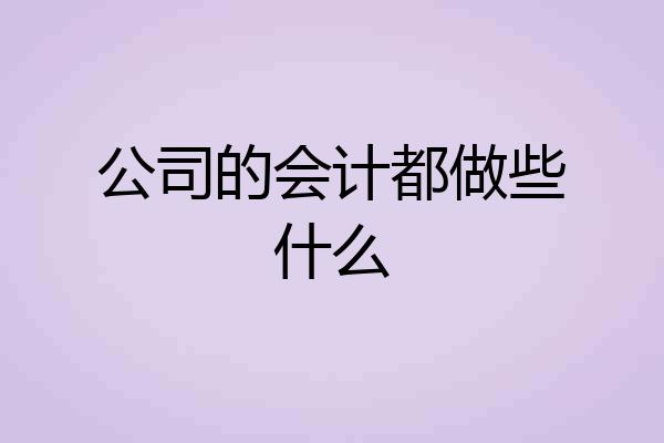 公司的会计都做些什么