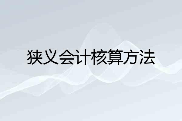 狭义会计核算方法