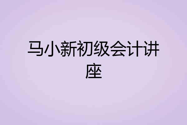 马小新初级会计讲座