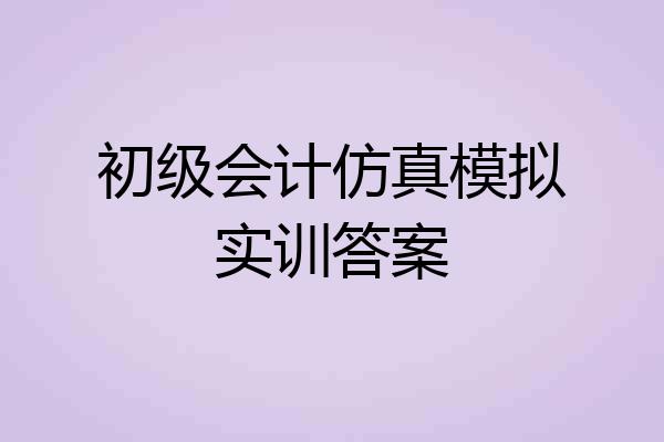初级会计仿真模拟实训答案