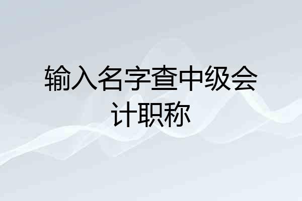 输入名字查中级会计职称
