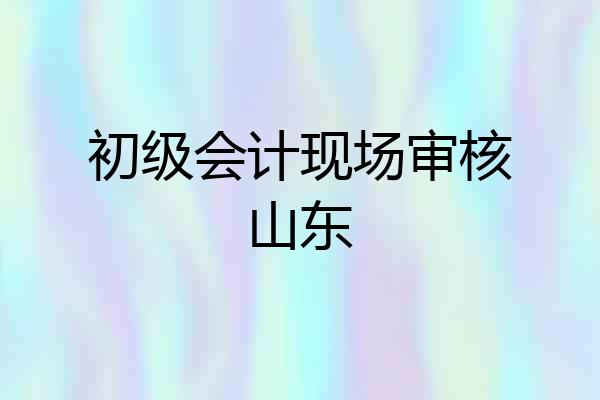 初级会计现场审核山东
